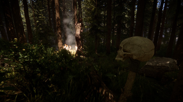 Sons Of The Forest Map and Quest Hub
